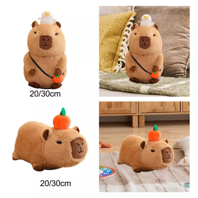 Acheter Capybara Capybara peluche poupée avec tortue Animal avec