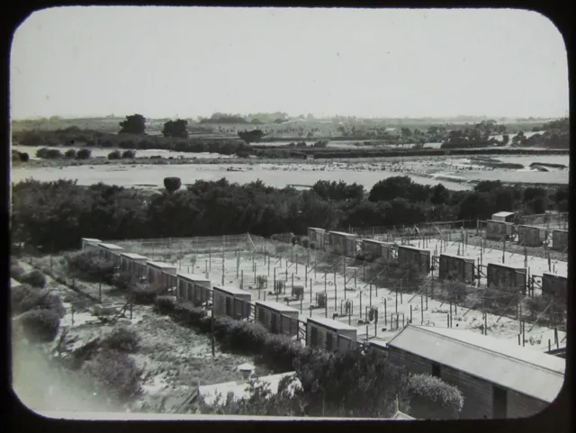 Glass Magic Lantern Slide POULTRY FARM VICTORIA C1910 PHOTO AUSTRALIA