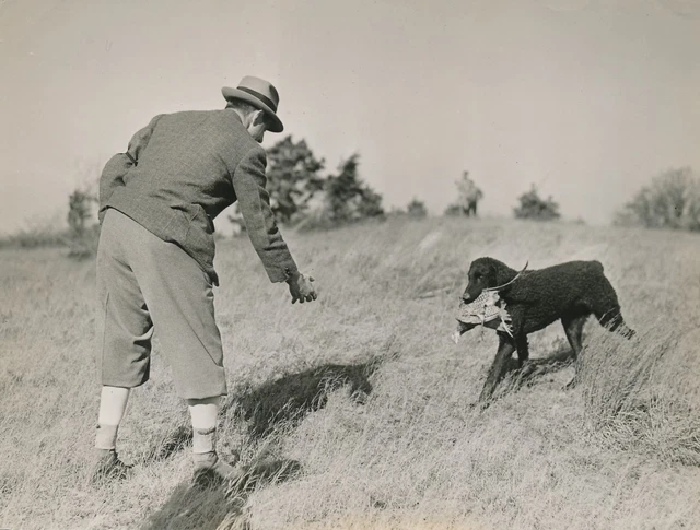 CHASSE c. 1950 - Chasseur Fusil Chien Gibier USA  - DIV8413