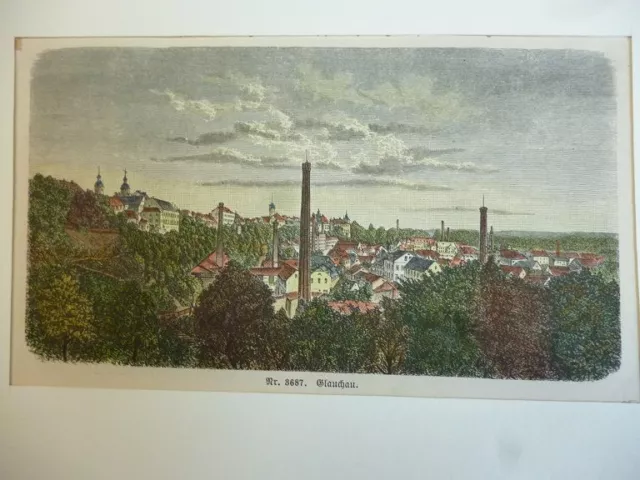 Orig. kolorierter Holzstich - Glauchau.