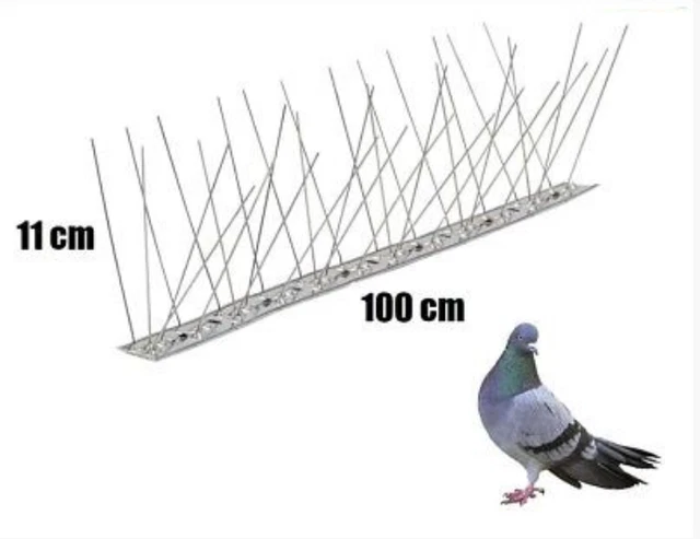 Dissuasori Piccioni 25m | Acciaio Inossidabile | Anti-Uccelli Per Cornicioni E Terrazzi