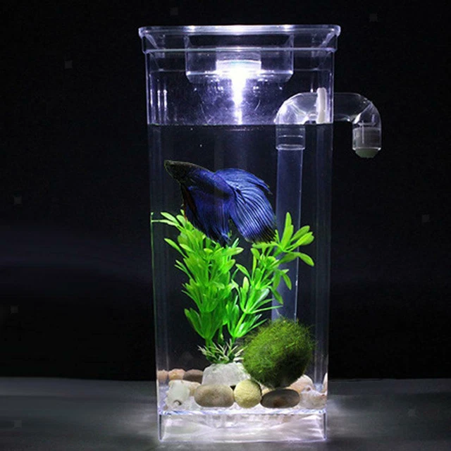 Decorative LED   Tank Small Aquarium Desktop Kids Goldfish Bowl w/ Plants