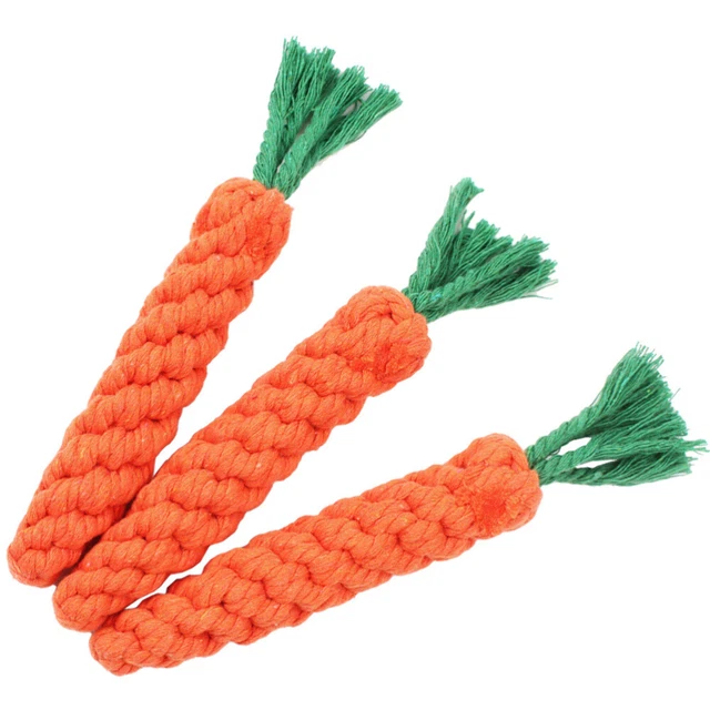 3pcs Hundes Zahnen Spielzeug Karottenform Hundespielzeug Interaktive Hund