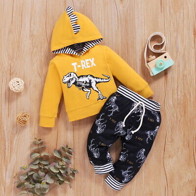 Newborn Kids Baby Boys Tracksuit Dinosaur Hooded Tops Pants Clothes Outfits Set