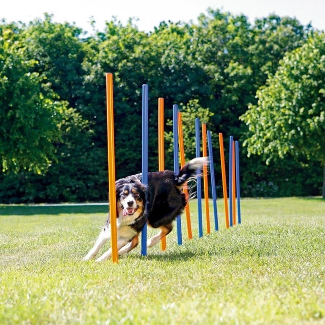 K9 Pursuits Mascota Perro Agilidad Slalom Tejido Postes Entrenamiento Obstáculos Curso 12 Polos