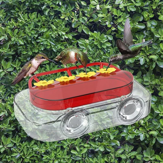 MANGEOIRE À COLIBRIS Pour Fenêtre Facile à Nettoyer Mangeoire à