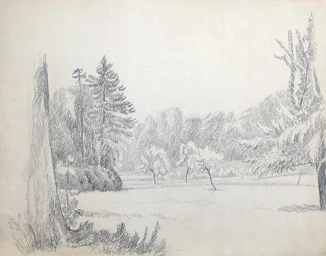 ANTIQUE LANDSCAPE DRAWING Country Study Tree 19th Century c.1850 ...
