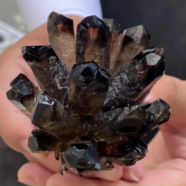 273G New Find black Phantom Quartz Crystal Cluster Mineral Specimen Healing