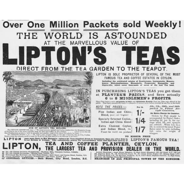 LIPTON'S TEA Tea and Coffee Planter, Ceylon - Victorian Advertisement 1892