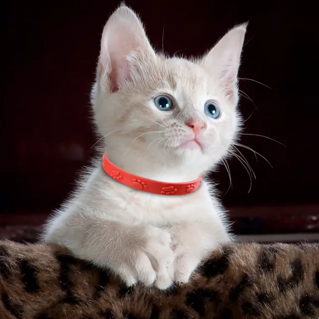 3 Pcs Red Adjustable Pet Cat Anti Flea Mite Tick Collar Cat Flea Prevention FR 3