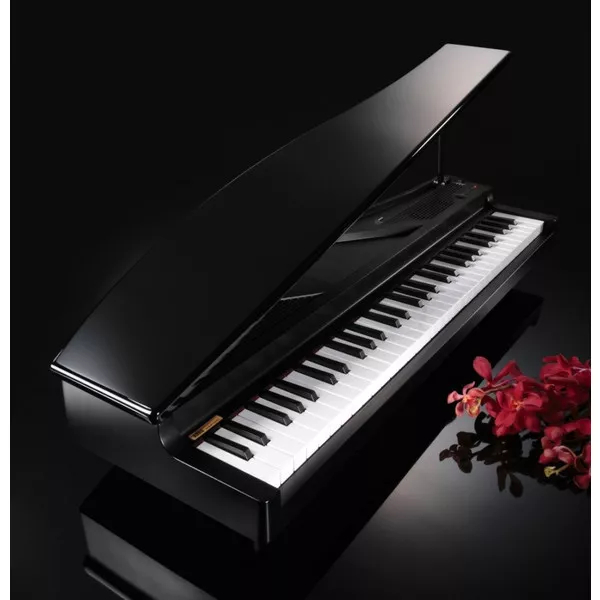 KORG Micro Piano Digital Compact Black Electronic Piano 61 key Ship via FedEx