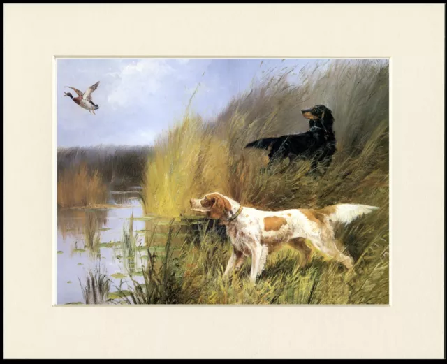 Gordon And Irish Red And White Setter Dogs Dog Print Mounted Ready To Frame