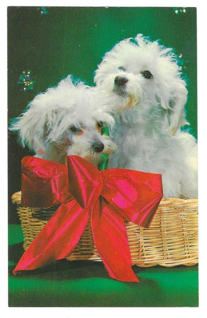 Vintage Dogs Puppies Chrome Postcard Toy Poodles Basket Bubbles Red Bow