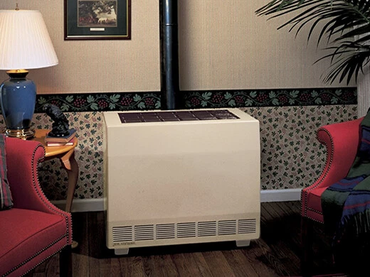 Empire Closed Front Room Heater Natural Gas 65000 BTU