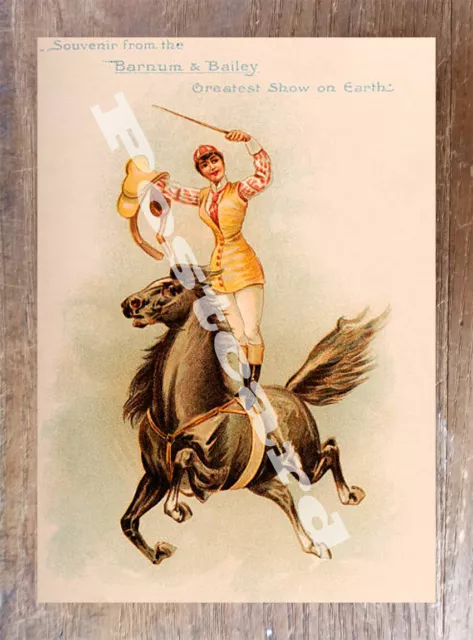 Historic Barnum & Bailey Circus Advertising Postcard 1