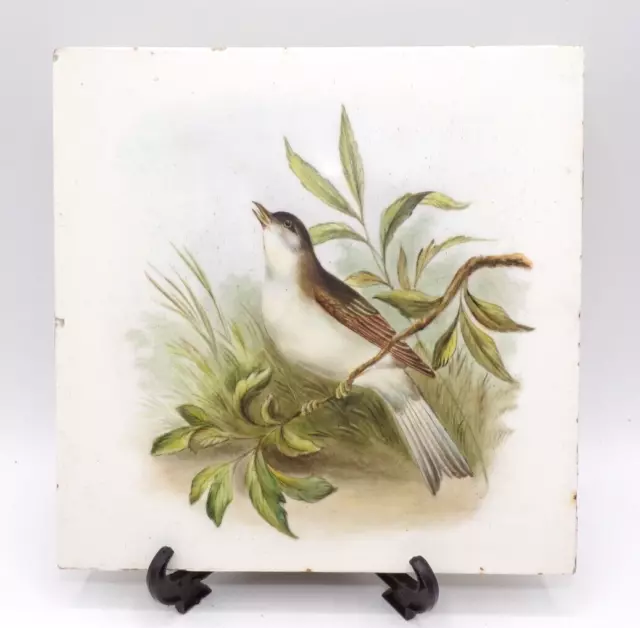 Minton Hollins & Co Finely Hand Painted Bird Tile Song Thrush C19th 6" Square