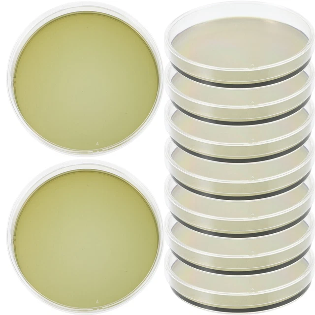 10 Pcs Lab Dish Round Petri Plate Scientists Petri Dish Flat Cover