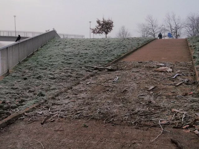 Photo 6x4 Flood debris, Exeter Evidence of the exact height reached by wa c2009