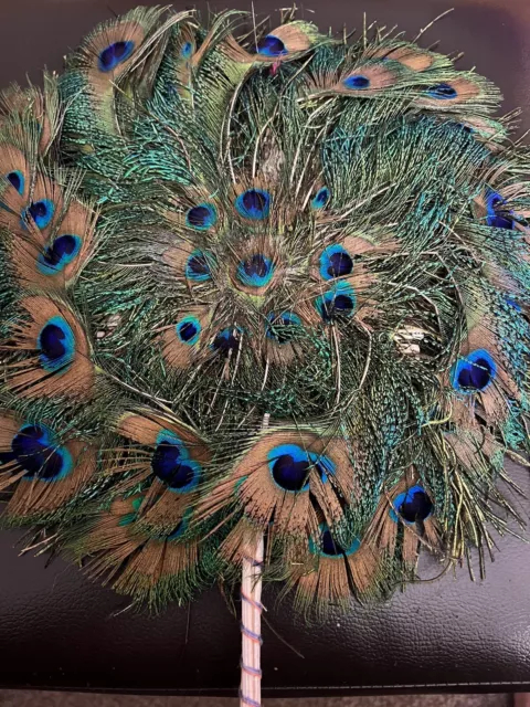 Antique Victorian Peacock Fan , Beautiful Colours