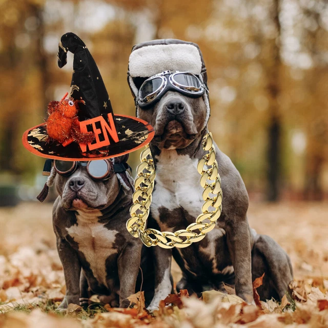 1 Set Halloween Haustierkostüm Lustige Haustierkostüm Katzenhund Cosplay 4
