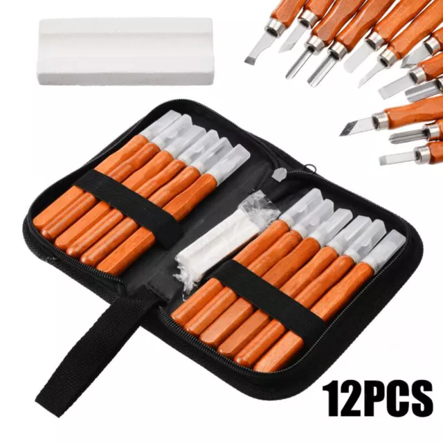 12 Pieces Carving  Engraving Tool Carving Iron for Wood, Fruit,