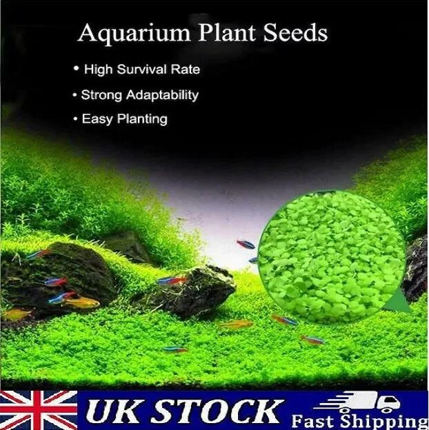 Aquarium Grass Seeds, Carpet Landscape Aquatic Water Fish Tank Grass Plant Seeds
