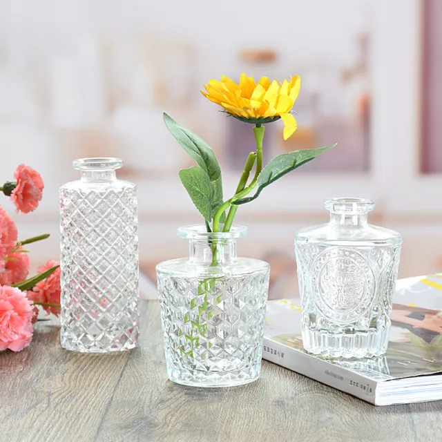 https://www.picclickimg.com/FVAAAOSwEJpllDvL/Simple-Transparent-Glass-Small-Vase-Nordic-Decoration-Living.webp