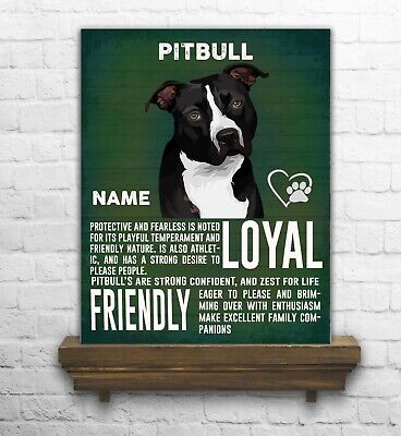 Personalised  Pitbull Dog   Breed   Vintage Metal Sign Rts09