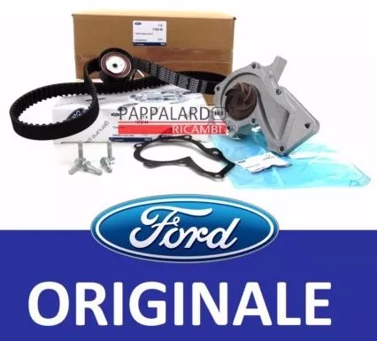 Kit Distribuzione + Pompa Acqua Originale Ford Focus Fiesta 1.25 1.4 1.6 Ti Gpl