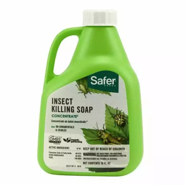 Safer Brand Insect Killing Soap Concentrate 16oz