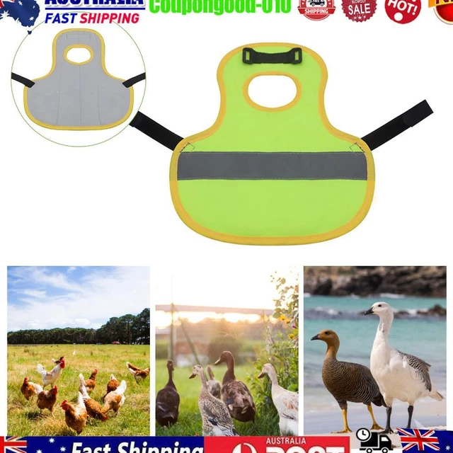 Pet Poultry Night Protection Clothing Chickens Ducks Goose Thermal Clothes