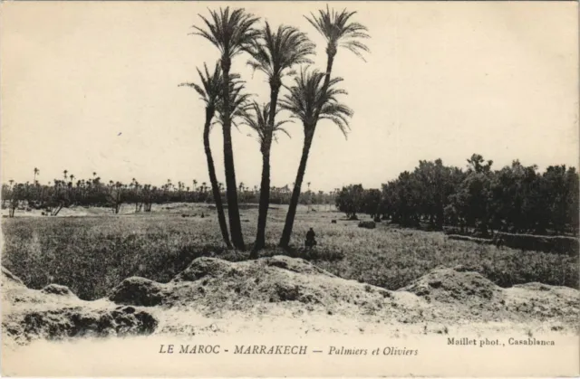CPA AK MARRAKECH Palms and Olive Trees (10547)