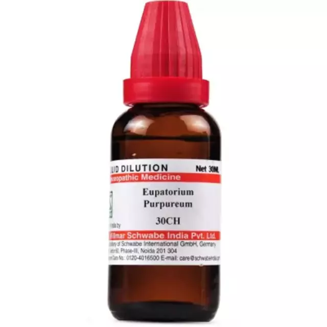 Willmar Schwabe India Eupatorium Purpureum (30 ml) 100% homeopático