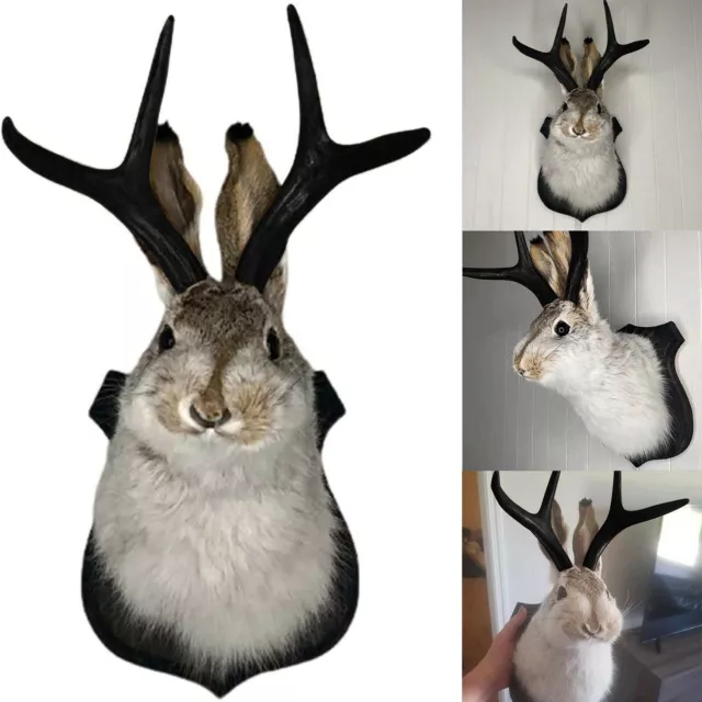 Taxidermy, Animal Head Wall Decor, Deer Head Wall Mount,Animal Wall Mount Decor