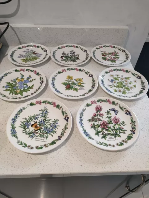 Herbs By Royal Worcester Collection Of Plates X8