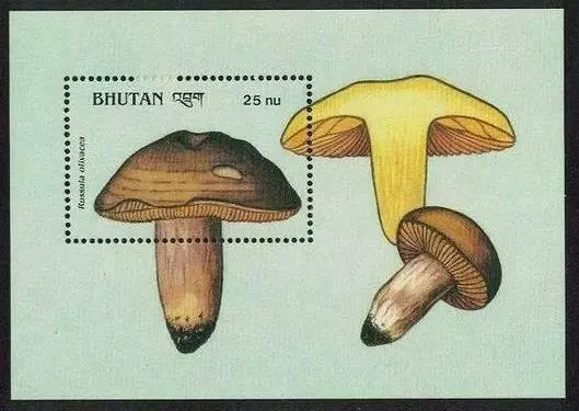 Bhutan 1989 Pilze S/S #7 MNH Pflanzen, Essen