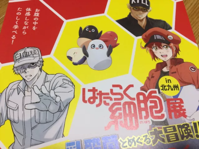 mais novo! células no trabalho hataraku saibou plaqueta anime menina  impresso personalizado abraçando corpo travesseiro caso