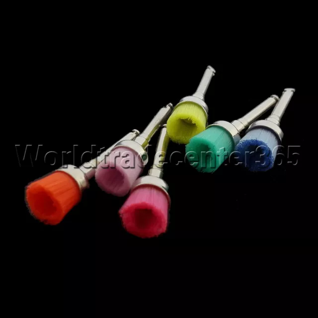 Dental Mixed Color Nylon Latch Flat Polishing Polisher Prophy Bowl Dental Brush