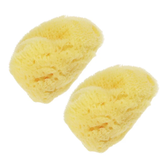 Knockdown Texture Sea Sponge 2" - 3" Painting Supplies Wall Texturing 2Pcs