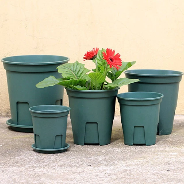 Conteneur d'usine Pots de fleurs Pot de Plante Planteur Boîte succulente