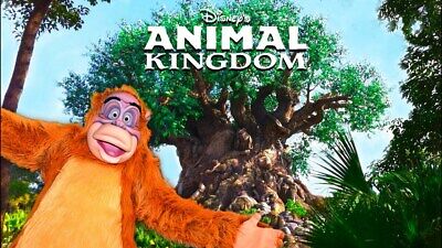 Disney World Vacation Rental = Animal Kingdom - Savanna 11/22 - 11/26 = 4 nights