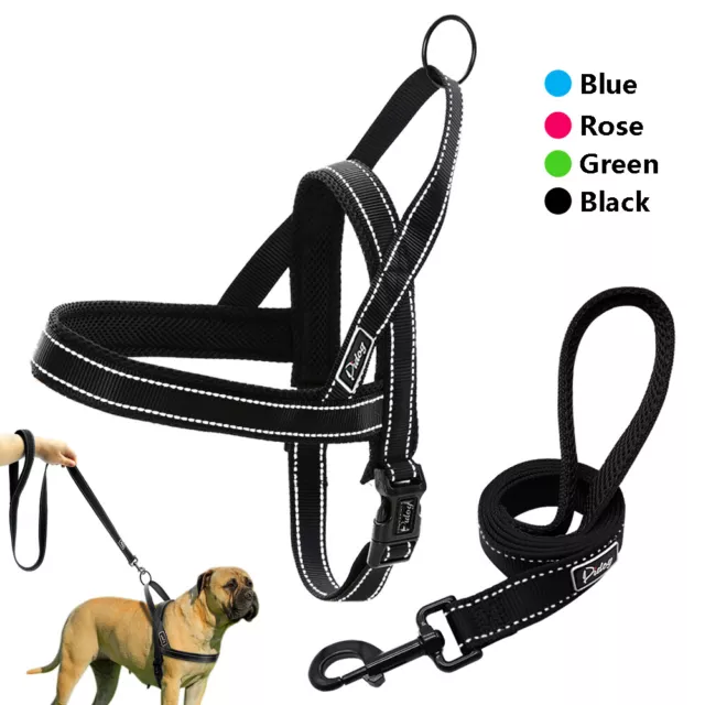 Reflective Nylon Dog Harness and Leash Set Adjustable Padded Pet Walking Vest