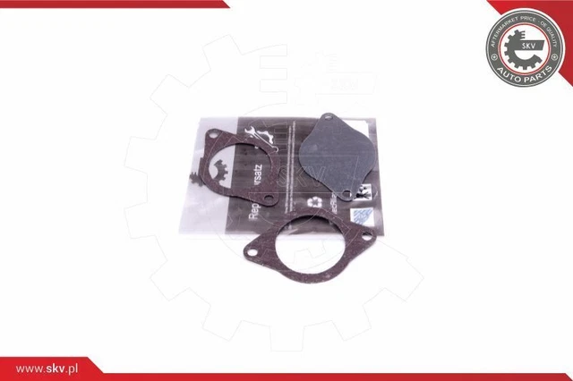 Kit riparazione valvola agr