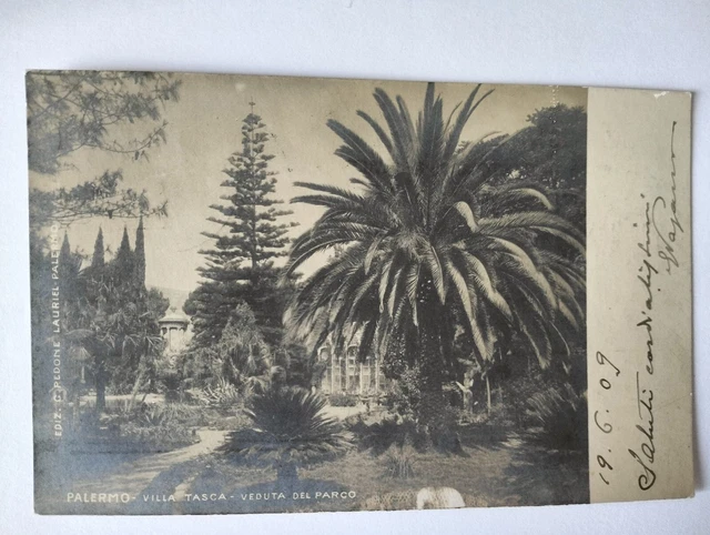 PALERMO - Villa Tasca - Veduta del Parco fp v.ta 1909 franc.asp. Fotografica PALERMO - Villa Tasca - Veduta del Parco fp v.ta 1909 franc.asp. Fotografica