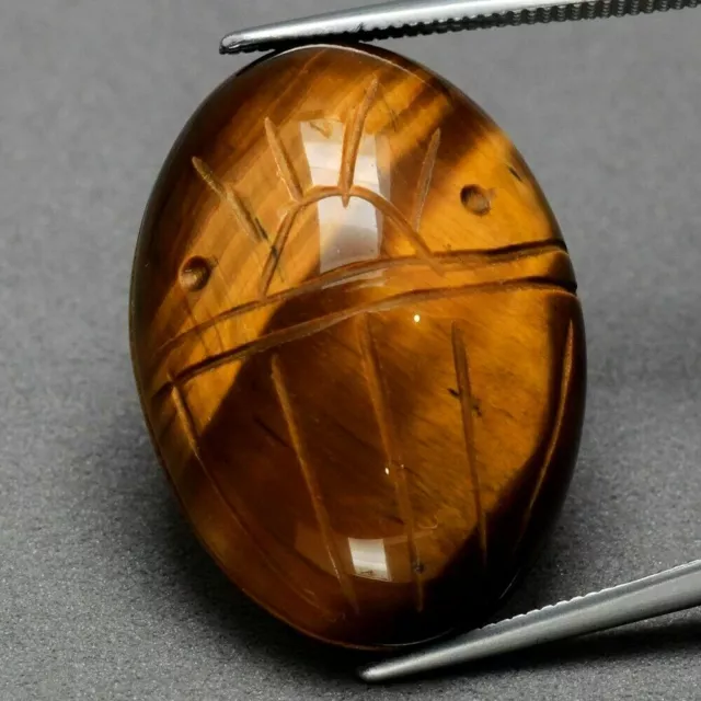 ★★   RARE !! OEIL DE TIGRE D'AUSTRALIE : 27,21 CARATS  ★★ p161.129