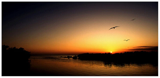 Landscape Sunset  Photography by Hugo Wessels "Sunset at Card Sound"