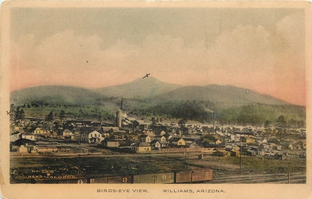 Hand-Colored Postcard; Birdseye View Williams AZ & RR Tracks, Coconino County