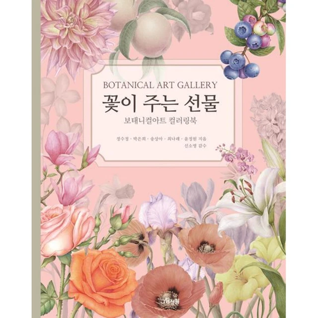 Livre De Coloriage Mystica - Dadachyo - Édition Coréenne 2021 - Art & Culture
