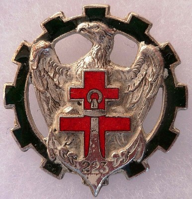 type 2 INSIGNE 9° R.T.A aigle et montagnes bronze IN5987 45 mm 9 doré 