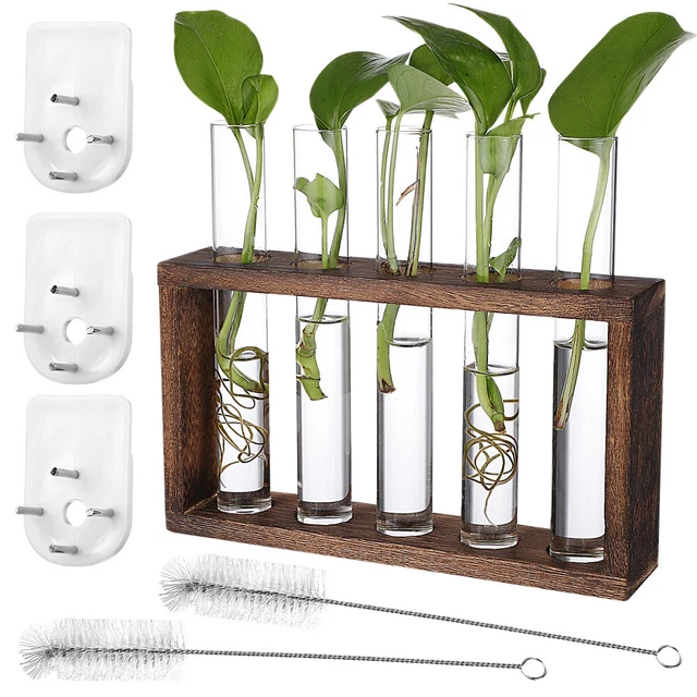 Recipiente de protocolo para arreglos florales maceta para tubos de ensayo planta